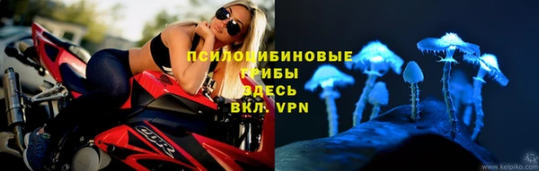 ешки Баксан