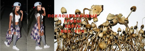 скорость Балабаново