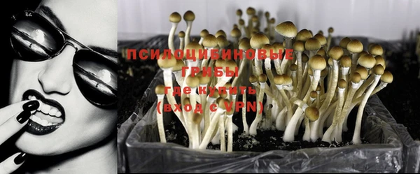 ALPHA PVP Аркадак