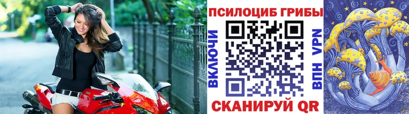 Псилоцибиновые грибы Psilocybe  даркнет сайт  Завитинск 