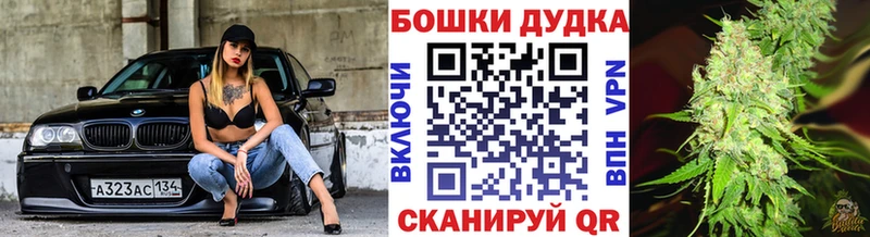 Бошки Шишки ГИДРОПОН  Завитинск 